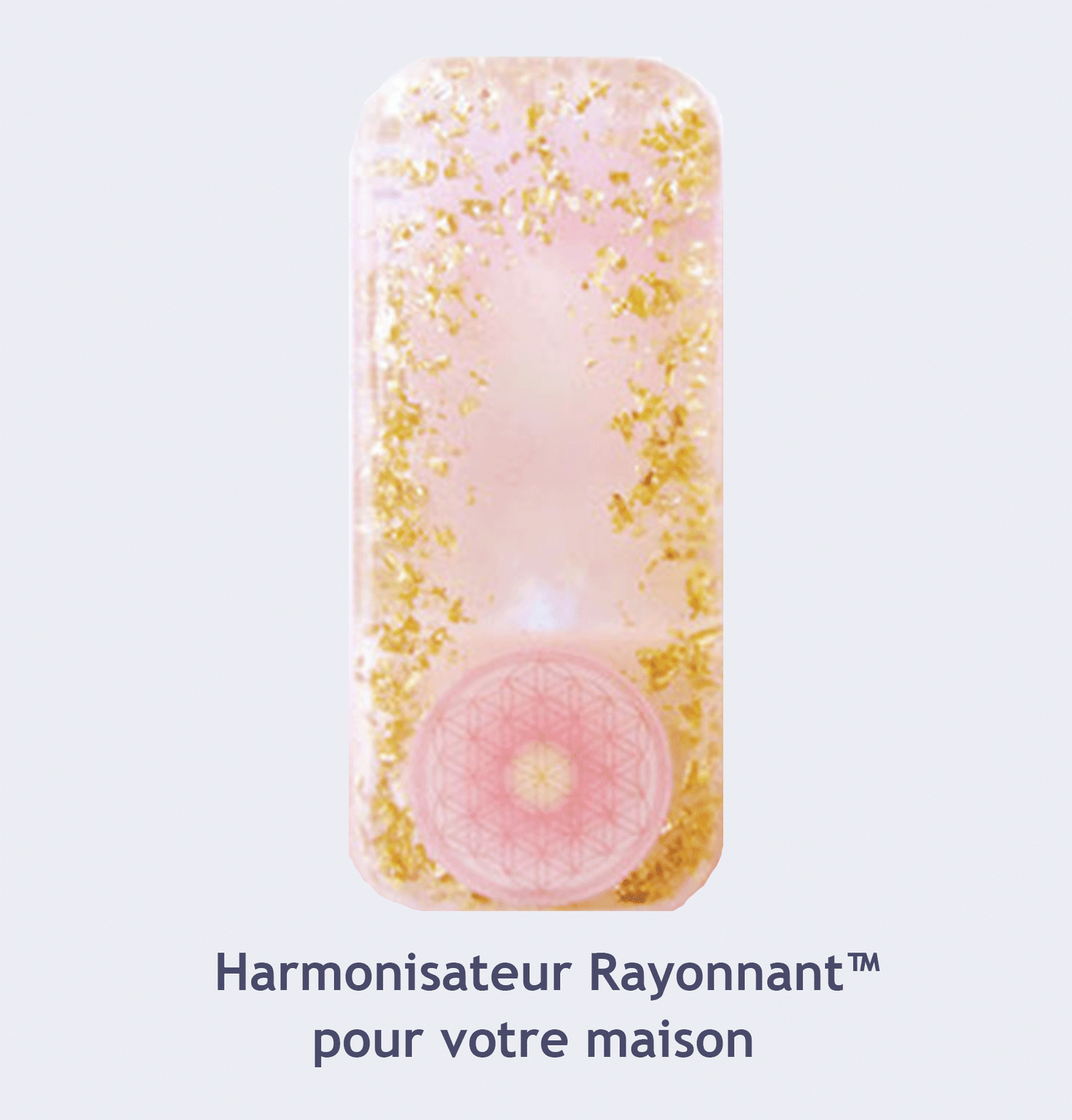 L’Harmonisateur Rayonnant™ dispositif d'harmonisation pour la maison conçu pour améliorer l’énergie et l’état vibratoire des lieux de vie NEWBEWORLD